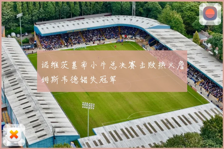 诺维茨基率小牛总决赛击败热火詹姆斯韦德错失冠军