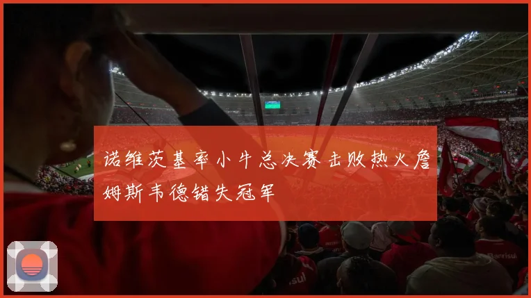 诺维茨基率小牛总决赛击败热火詹姆斯韦德错失冠军
