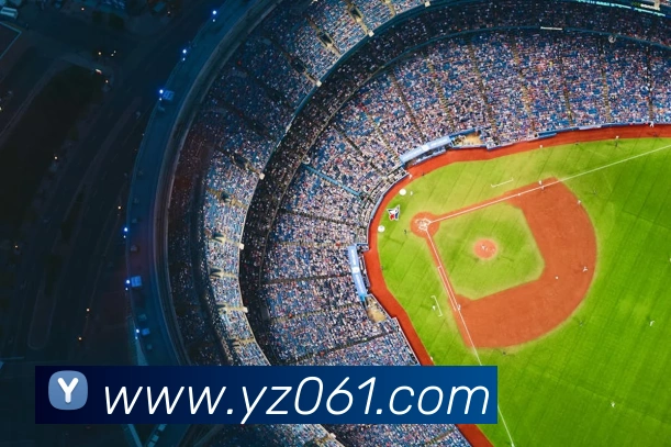 世界杯app官网平台生态图